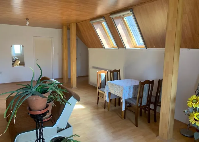 Joerghy Haus 게스트하우스 *